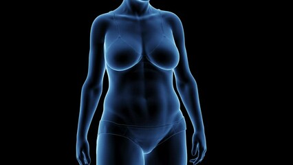 3d rendered medical animation of a woman's transition from fat to fit