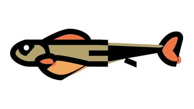 alevins salmon color icon animation