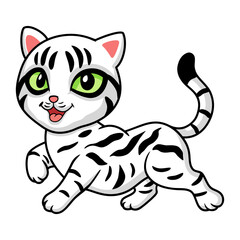 Obraz na płótnie Canvas Cute american short hair cat cartoon