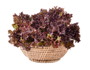 Fresh red lettuce in the basket isolated on transparent png