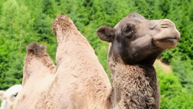 Prominence Imagens Procure 84,146 fotos, vetores e vídeos Adobe Stock