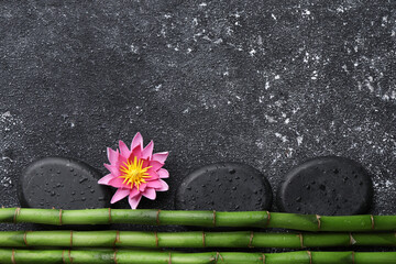 Wet spa stones, flower and bamboo stems on black textured table, flat lay. Space for text