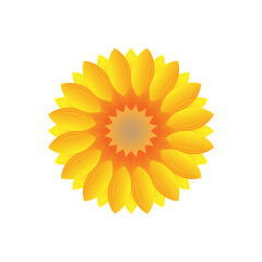 Cartoon sunflower icon. Plant floral design. Spring floral pattern. Vector illustration. stock image. 