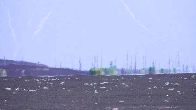 Volcanic arctic black desert at a hot summer day. Volcanic black ash is strongly heated by the sun's rays and there is a strong haze. Fata Morgana of dead wood. Kamchatka
