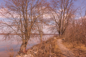 Beautiful winter landscape at the ravine Petrie Island, Ottawa