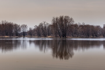 Beautiful winter landscape at the ravine Petrie Island, Ottawa