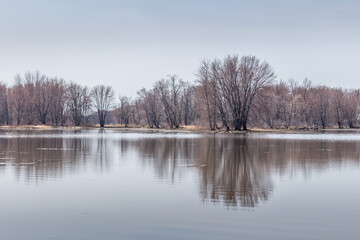 Beautiful winter landscape at the ravine Petrie Island, Ottawa