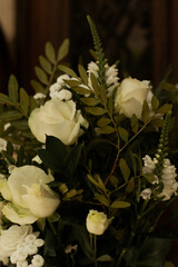 white rose in the garden