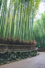 the Arashiyama Bamboo Forest in Kyoto, Japan 11 April 2012