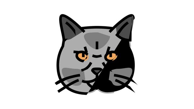 british shorthair cat cute pet color icon animation