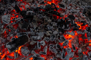 red wooden coals from a campfire close-up