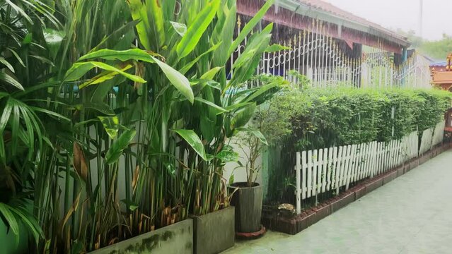 It was raining in the area of the house with a small garden.