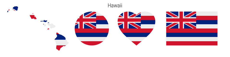 Hawaii flag in different shapes icon set. Flat vector illustration