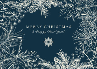 Winter card with fir and pine branches, cones, dried grasses. Botanical illustration. Vector holiday card. Blue and White. Sketch.
