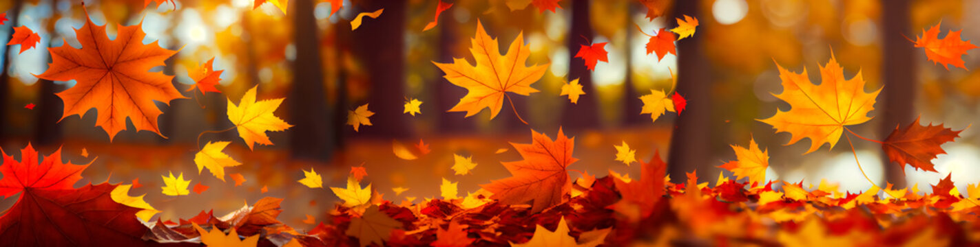 Flying fall maple leaves on autumn background. Falling leaves, seasonal banner with autumn foliage