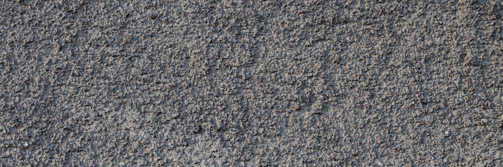 The texture of the gray wall. Decorative plaster.  Rough grainy bumpy surface. Wide panoramic texture for background and design.