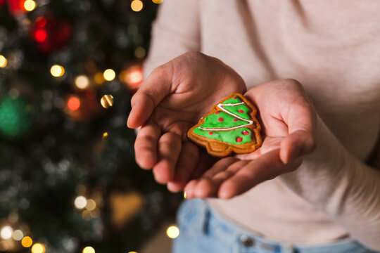 Close up image of a woman hand holding decorated Christmas cookie in a shape of Christmas tree. Preparation to Christmas Eve. Celebrating winter holidays, advent, Christmas season. Festive decoration.