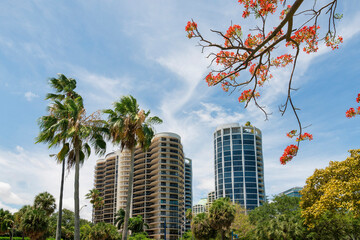 Fototapeta na wymiar Views of multi-storey condos from below with trees at Miami, Florida
