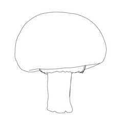 Outline of a mushroom from black lines isolated on a white background. Front view. Vector illustration.