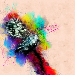 Obraz na płótnie Canvas Butterfly 31