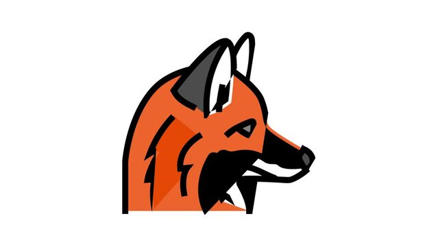 fox animal zoo color icon animation