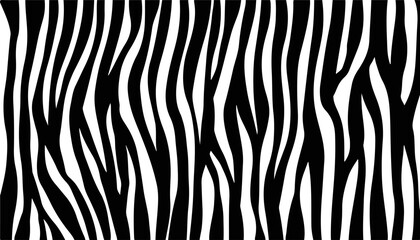 Fototapeta premium black and white wavy stripes background