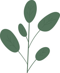 Eucalyptus leaf branch