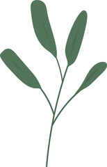 Tropical botanical leaf branch
