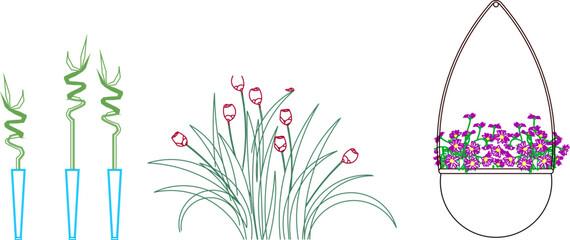 flowers in the grass