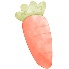 cute carrot watercolor illustration