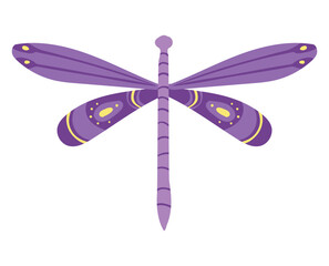 purple dragonfly insect