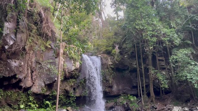 Curtis Falls at Mount Tamborine on the Gold Coast in Australia