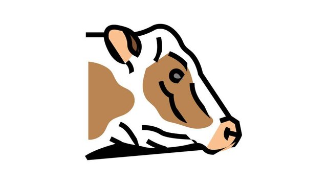 cow animal zoo color icon animation