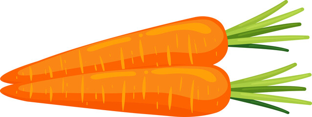 Carrot illustration element