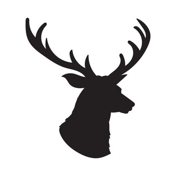 Black Silhouette Of Dear Head With Big Antlers. Vector Illustration.