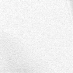 Monochrome texture background. Image includes the effect the black and white tones. Surface looks rough. Gray printing element. Backdrop texture wall and have copy space for text.
