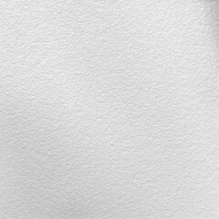 Monochrome texture background. Image includes the effect the black and white tones. Surface looks rough. Gray printing element. Backdrop texture wall and have copy space for text.