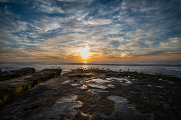 Hospital Reef, La Jolla, California. 