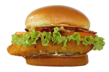 chicken salad hamburger isolated 