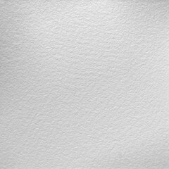 Monochrome texture background. Image includes the effect the black and white tones. Surface looks rough. Gray printing element. Backdrop texture wall and have copy space for text.