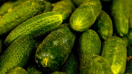 cucumbers on the market
