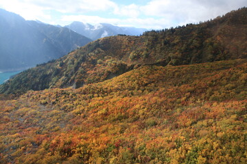 紅葉･立山黒部アルペンルート･立山ロープウェイ･秋･登山･山岳風景･北アルプス