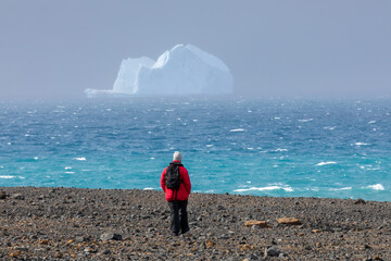 A traveller to Antarctica walks a remote beach as massive icebergs float by in the crystal clear water - obrazy, fototapety, plakaty