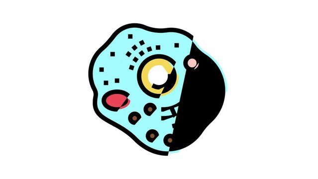 cell human color icon animation