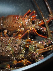 伊勢海老/Japanese lobster