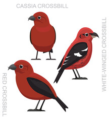 Cute Bird Crossbill Set Cartoon Vector