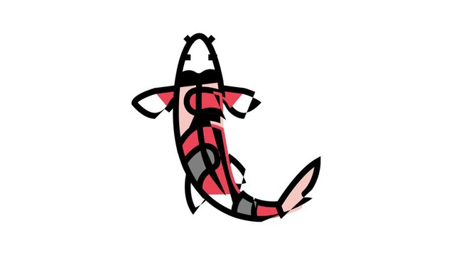 fish koi color icon animation