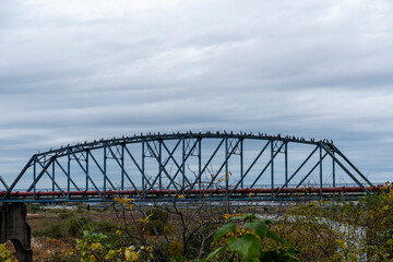 Fototapeta na wymiar 相模川に架かる水道橋の風景