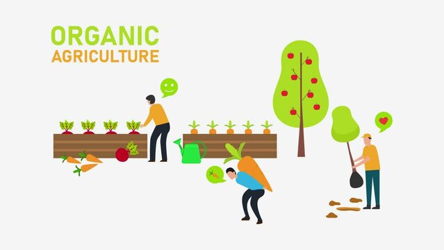 Group of farmers doing organic agriculture