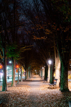 Night Princeton University